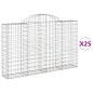 vidaXL Gabionen mit Hochbogen 25Stk. 200x30x120/140cm Verzinktes Eisen vidaXL Gabionen mit Hochbogen 25Stk. 200x30x120/140cm Verzinktes Eisen