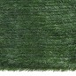 vidaXL Kunstrasen-Sichtschutz Grün 1x5 m vidaXL Kunstrasen-Sichtschutz Grün 1x5 m