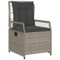 vidaXL 9-tlg. Garten-Essgruppe mit Kissen Hellgrau Poly Rattan vidaXL 9-tlg. Garten-Essgruppe mit Kissen Hellgrau Poly Rattan