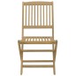 vidaXL Gartenstühle 2 Stk. Klappbar 57x48,5x90 cm Massivholz Akazie vidaXL Gartenstühle 2 Stk. Klappbar 57x48,5x90 cm Massivholz Akazie