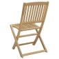 vidaXL Gartenstühle 2 Stk. Klappbar 57x48,5x90 cm Massivholz Akazie vidaXL Gartenstühle 2 Stk. Klappbar 57x48,5x90 cm Massivholz Akazie