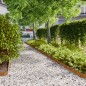 vidaXL Rasenkanten 50 Stk. 10x103 cm Flexibel Cortenstahl vidaXL Rasenkanten 50 Stk. 10x103 cm Flexibel Cortenstahl