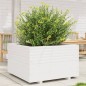 vidaXL Pflanzkübel Weiß 80x80x49,5 cm Massivholz Kiefer vidaXL Pflanzkübel Weiß 80x80x49,5 cm Massivholz Kiefer