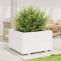 vidaXL Pflanzkübel Weiß 80x80x49,5 cm Massivholz Kiefer vidaXL Pflanzkübel Weiß 80x80x49,5 cm Massivholz Kiefer