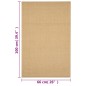 vidaXL Teppich Natur Sisal 66x100 cm vidaXL Teppich Natur Sisal 66x100 cm