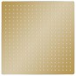 vidaXL Regenbrause Edelstahl 50x50 cm Quadrat Golden vidaXL Regenbrause Edelstahl 50x50 cm Quadrat Golden