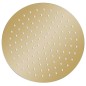 vidaXL Regenbrause Edelstahl 25 cm Rund Golden vidaXL Regenbrause Edelstahl 25 cm Rund Golden