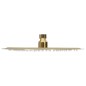 vidaXL Regenbrause Edelstahl 25 cm Rund Golden vidaXL Regenbrause Edelstahl 25 cm Rund Golden