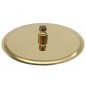 vidaXL Regenbrause Edelstahl 25 cm Rund Golden vidaXL Regenbrause Edelstahl 25 cm Rund Golden