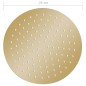 vidaXL Regenbrause Edelstahl 25 cm Rund Golden vidaXL Regenbrause Edelstahl 25 cm Rund Golden