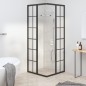 vidaXL Duschkabine Matt ESG 80x80x180 cm Schwarz vidaXL Duschkabine Matt ESG 80x80x180 cm Schwarz