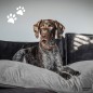 Madison Hundekissen Velvet 120x90x15 cm Grau Madison Hundekissen Velvet 120x90x15 cm Grau
