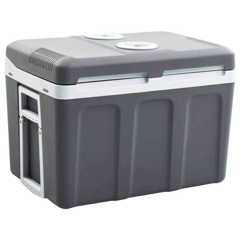 vidaXL Thermoelektrische Kühlbox Mobil 40 L 12V 230V E vidaXL Thermoelektrische Kühlbox Mobil 40 L 12V 230V E