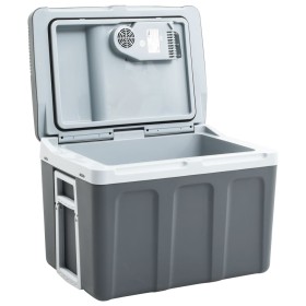 vidaXL Thermoelektrische Kühlbox Mobil 40 L 12V 230V E