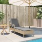 vidaXL Sonnenliege mit Auflage Beige 63x200x81 cm Poly Rattan vidaXL Sonnenliege mit Auflage Beige 63x200x81 cm Poly Rattan
