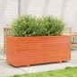 vidaXL Pflanzkübel Wachsbraun 110x40x49,5 cm Massivholz Kiefer vidaXL Pflanzkübel Wachsbraun 110x40x49,5 cm Massivholz Kiefer