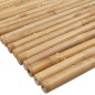 vidaXL Badematten 2 Stk. 70x50 cm Bambus vidaXL Badematten 2 Stk. 70x50 cm Bambus