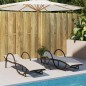 vidaXL Sonnenliege mit Auflage Braun 60x199x42 cm Poly Rattan vidaXL Sonnenliege mit Auflage Braun 60x199x42 cm Poly Rattan