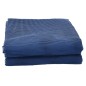 vidaXL Campingteppich Blau 5x3 m vidaXL Campingteppich Blau 5x3 m