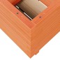 vidaXL Pflanzkübel Wachsbraun 50x50x49,5 cm Massivholz Kiefer vidaXL Pflanzkübel Wachsbraun 50x50x49,5 cm Massivholz Kiefer