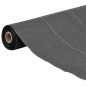 vidaXL Unkrautvlies Schwarz 2x10 m PP vidaXL Unkrautvlies Schwarz 2x10 m PP