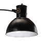 vidaXL Stehleuchte 25 W Schwarz 150 cm E27 vidaXL Stehleuchte 25 W Schwarz 150 cm E27