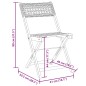 vidaXL Gartenstühle 4 Stk. Klappbar Schwarz Poly Rattan & Massivholz vidaXL Gartenstühle 4 Stk. Klappbar Schwarz Poly Rattan & Massivholz
