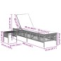 vidaXL Sonnenliegen 2 Stk. mit Tisch Grau Poly Rattan vidaXL Sonnenliegen 2 Stk. mit Tisch Grau Poly Rattan