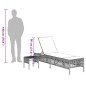 vidaXL Sonnenliegen 2 Stk. mit Tisch Grau Poly Rattan vidaXL Sonnenliegen 2 Stk. mit Tisch Grau Poly Rattan