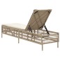 vidaXL Sonnenliege mit Auflage Beige Poly Rattan vidaXL Sonnenliege mit Auflage Beige Poly Rattan