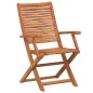 vidaXL Gartenstühle 8 Stk. Klappbar 57x66x95 cm Massivholz Akazie vidaXL Gartenstühle 8 Stk. Klappbar 57x66x95 cm Massivholz Akazie