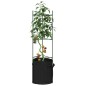 vidaXL Tomatenkäfige mit Pflanzsäcken 8 Stk. 116 cm Stahl und PP vidaXL Tomatenkäfige mit Pflanzsäcken 8 Stk. 116 cm Stahl und PP