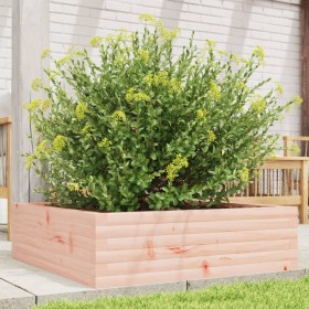 vidaXL Pflanzkübel 80x80x23 cm Massivholz Douglasie