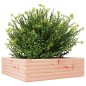 vidaXL Pflanzkübel 80x80x23 cm Massivholz Douglasie vidaXL Pflanzkübel 80x80x23 cm Massivholz Douglasie