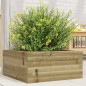 vidaXL Pflanzkübel 50x50x23 cm Kiefernholz Imprägniert vidaXL Pflanzkübel 50x50x23 cm Kiefernholz Imprägniert
