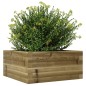 vidaXL Pflanzkübel 50x50x23 cm Kiefernholz Imprägniert vidaXL Pflanzkübel 50x50x23 cm Kiefernholz Imprägniert