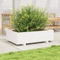 vidaXL Pflanzkübel Weiß 90x60x26,5 cm Massivholz Kiefer vidaXL Pflanzkübel Weiß 90x60x26,5 cm Massivholz Kiefer