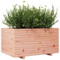 vidaXL Pflanzkübel 90x60x49,5 cm Massivholz Douglasie vidaXL Pflanzkübel 90x60x49,5 cm Massivholz Douglasie