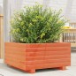 vidaXL Pflanzkübel Wachsbraun 50x50x26,5 cm Massivholz Kiefer vidaXL Pflanzkübel Wachsbraun 50x50x26,5 cm Massivholz Kiefer