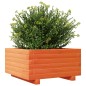 vidaXL Pflanzkübel Wachsbraun 50x50x26,5 cm Massivholz Kiefer vidaXL Pflanzkübel Wachsbraun 50x50x26,5 cm Massivholz Kiefer