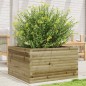 vidaXL Pflanzkübel 80x80x45,5 cm Kiefernholz Imprägniert vidaXL Pflanzkübel 80x80x45,5 cm Kiefernholz Imprägniert