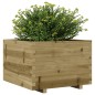 vidaXL Pflanzkübel 70x70x49,5 cm Kiefernholz Imprägniert vidaXL Pflanzkübel 70x70x49,5 cm Kiefernholz Imprägniert
