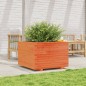 vidaXL Pflanzkübel Wachsbraun 70x70x49,5 cm Massivholz Kiefer vidaXL Pflanzkübel Wachsbraun 70x70x49,5 cm Massivholz Kiefer