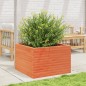 vidaXL Pflanzkübel Wachsbraun 70x70x45,5 cm Massivholz Kiefer vidaXL Pflanzkübel Wachsbraun 70x70x45,5 cm Massivholz Kiefer