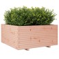 vidaXL Pflanzkübel 100x100x49,5 cm Massivholz Douglasie