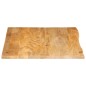 vidaXL Tischplatte mit Baumkante 100x80x2,5 cm Massivholz Mango vidaXL Tischplatte mit Baumkante 100x80x2,5 cm Massivholz Mango
