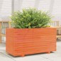 vidaXL Pflanzkübel Wachsbraun 90x40x49,5 cm Massivholz Kiefer vidaXL Pflanzkübel Wachsbraun 90x40x49,5 cm Massivholz Kiefer