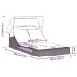 vidaXL Doppel-Sonnenliege mit Dach und Auflagen Grau Poly Rattan vidaXL Doppel-Sonnenliege mit Dach und Auflagen Grau Poly Rattan
