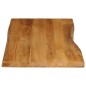 vidaXL Tischplatte mit Baumkante 100x60x2,5 cm Massivholz Mango vidaXL Tischplatte mit Baumkante 100x60x2,5 cm Massivholz Mango
