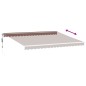 vidaXL Markise Manuell mit LED Braun 500x300 cm vidaXL Markise Manuell mit LED Braun 500x300 cm
